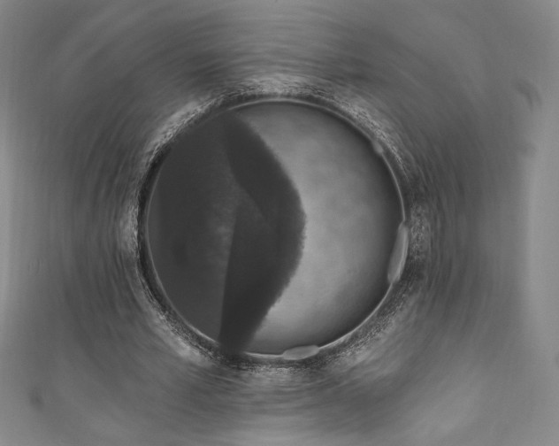 X0000111830581200907231318