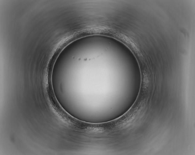 X0000111830582200907231318