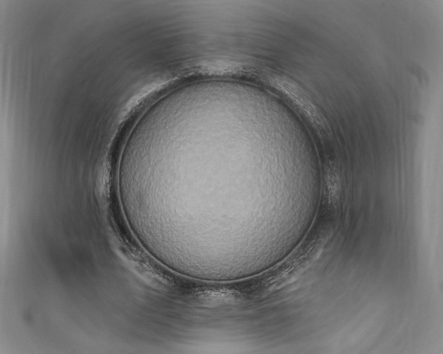 X0000111830583200907231318