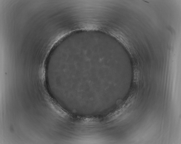 X0000111830584200907231318