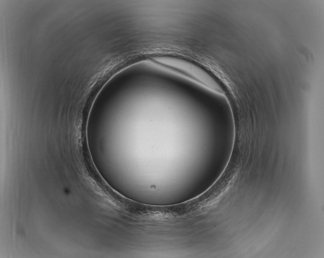 X0000111830585200907231318