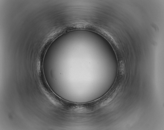 X0000111830589200907231318