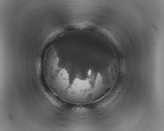 X0000111830590200907231318