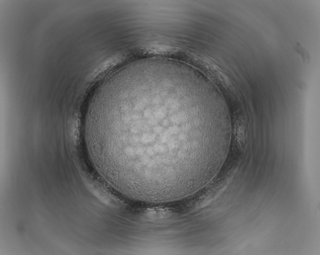 X0000111830591200907231318