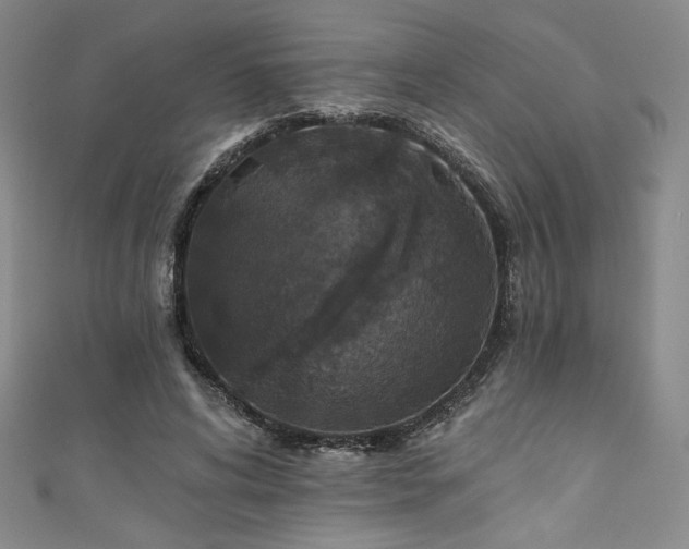 X0000111830592200907231318