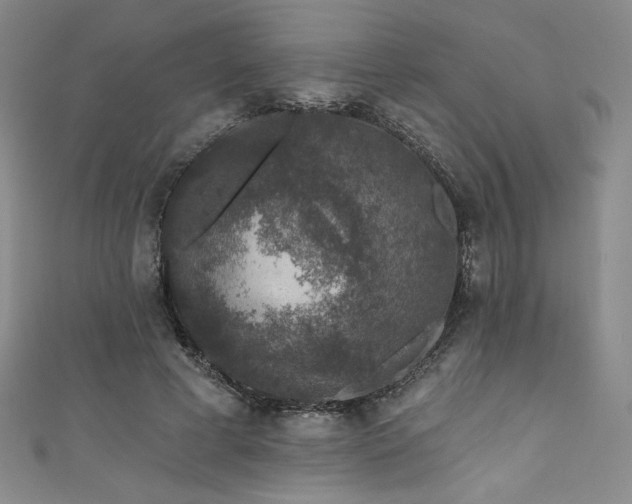X0000111830593200907231318