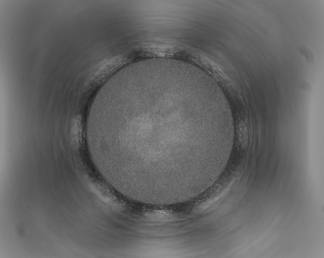 X0000111830594200907231318