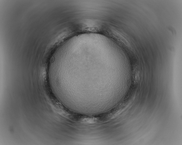 X0000111830595200907231318