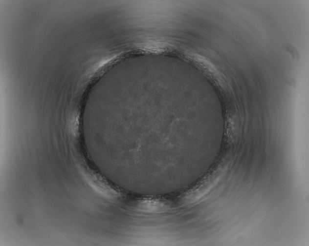 X0000111830596200907231318