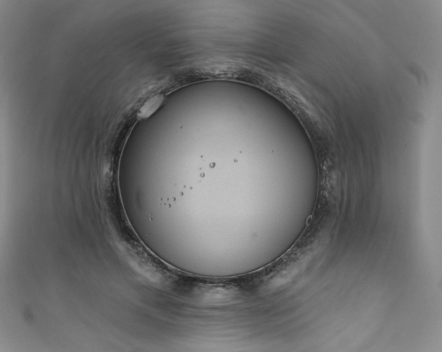 X0000111830597200907231318