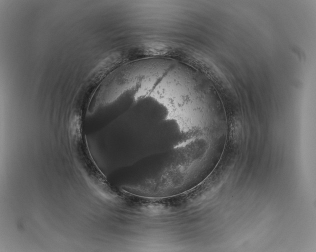 X0000111830598200907231318