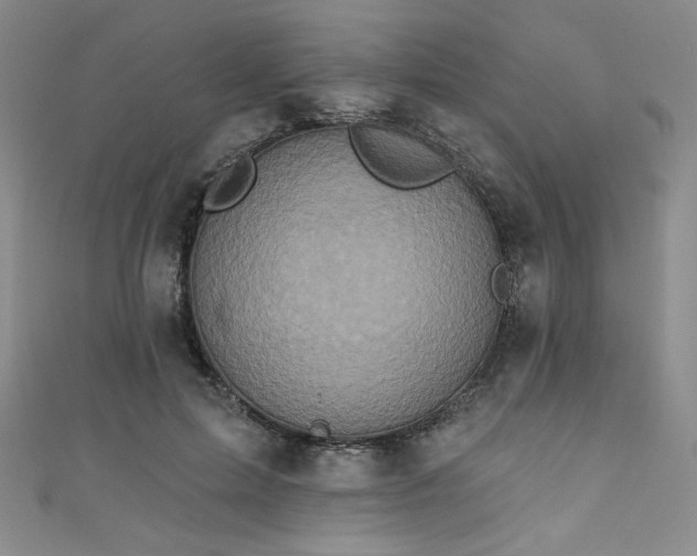 X0000111830599200907231318