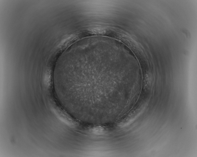 X0000111830600200907231318
