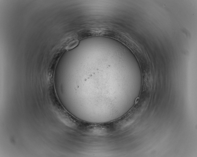 X0000111830601200907231318