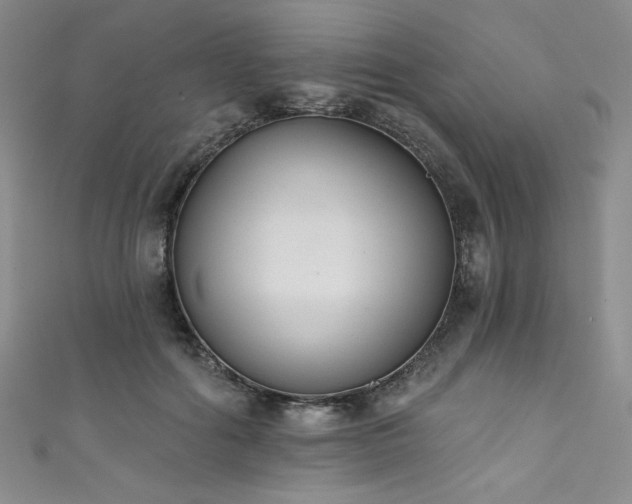 X0000111830602200907231318