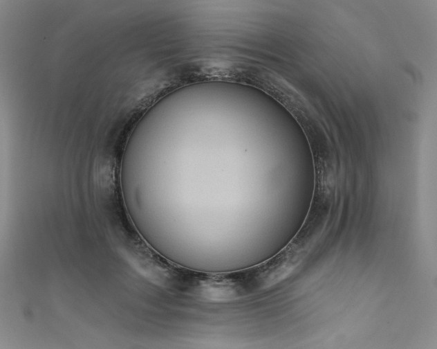 X0000111830603200907231318