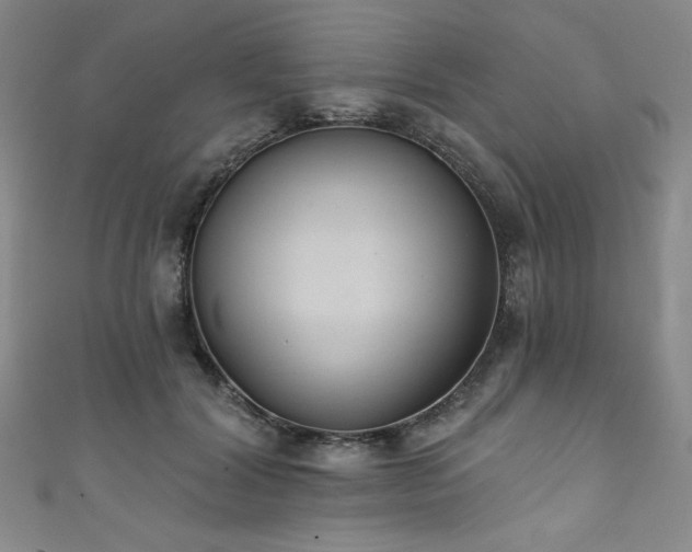 X0000111830604200907231318