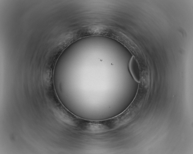 X0000111830605200907231318