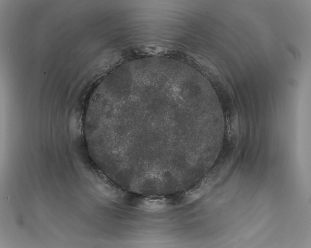 X0000111830606200907231318