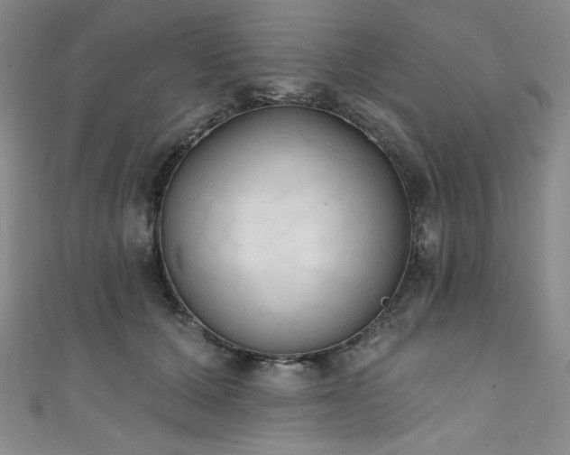 X0000111830607200907231318