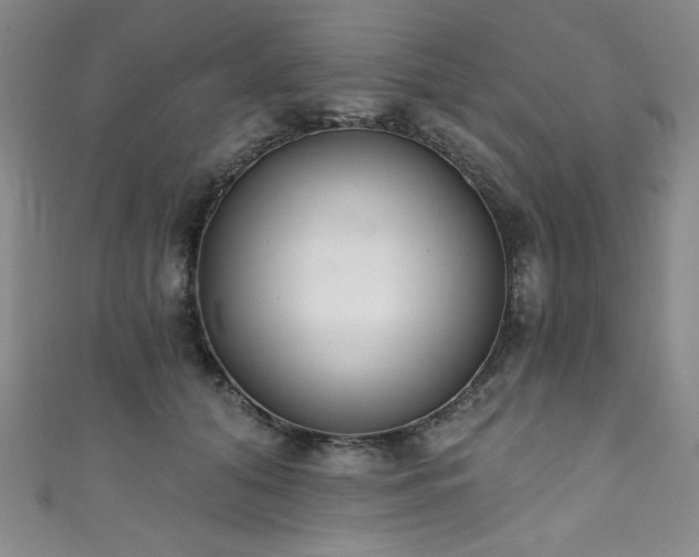 X0000111830608200907231318