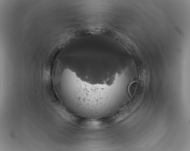 X0000111830610200907231318