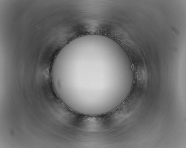 X0000111830611200907231318