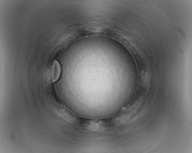 X0000111830612200907231318