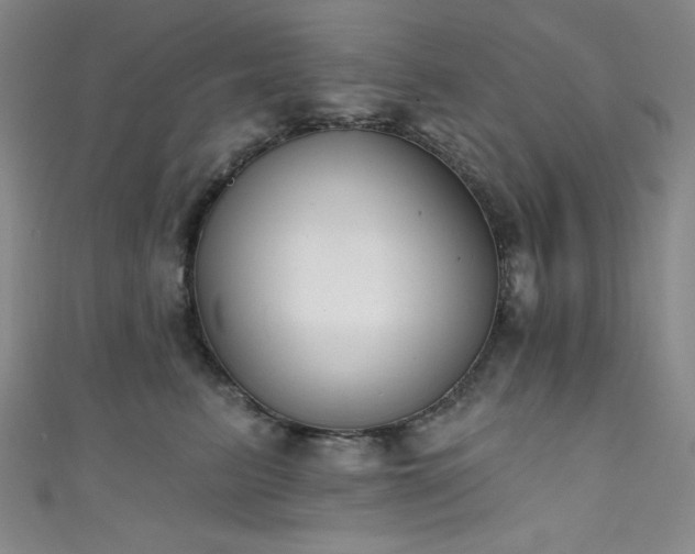 X0000111830615200907231318