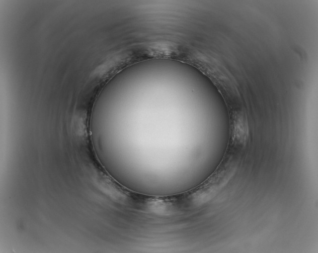 X0000111830616200907231318