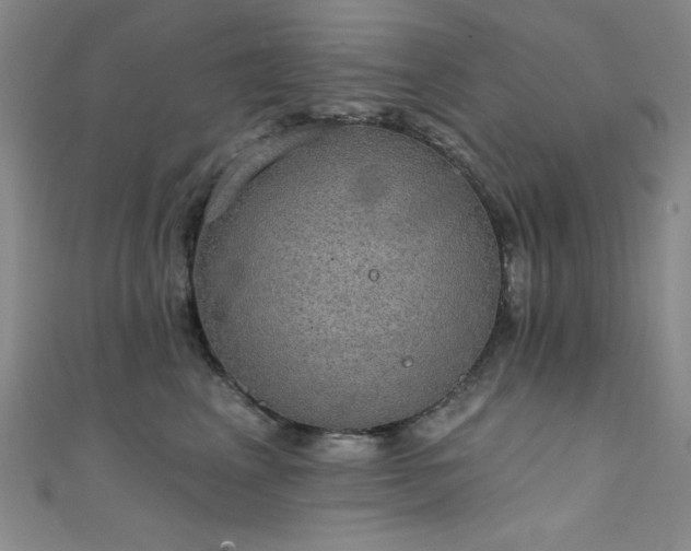 X0000111830617200907231318