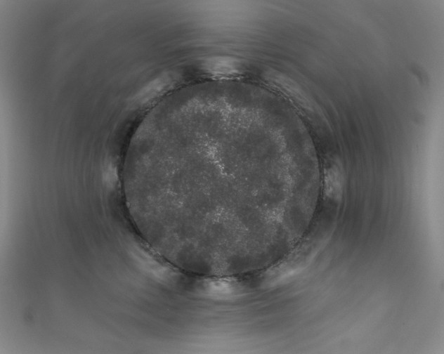 X0000111830618200907231318