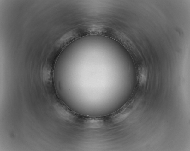 X0000111830619200907231318
