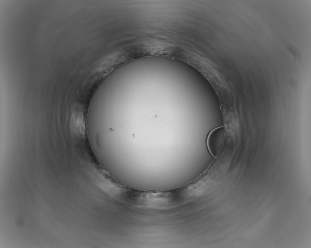 X0000111830622200907231318