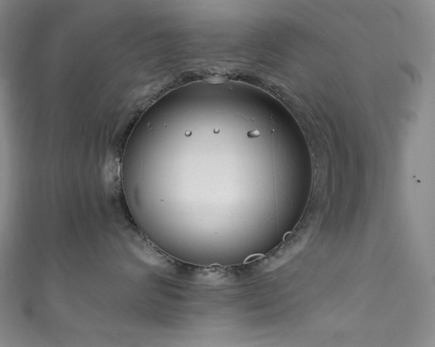 X0000111830624200907231318