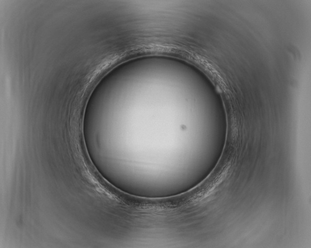 X0000111830625200907231317
