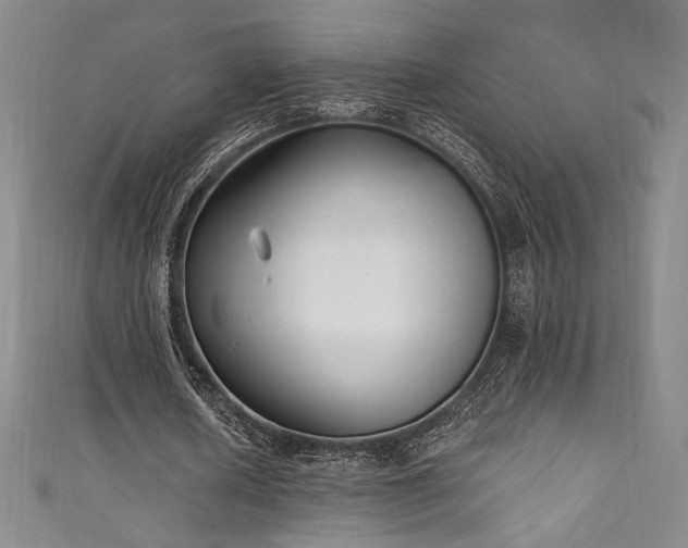 X0000111830626200907231317