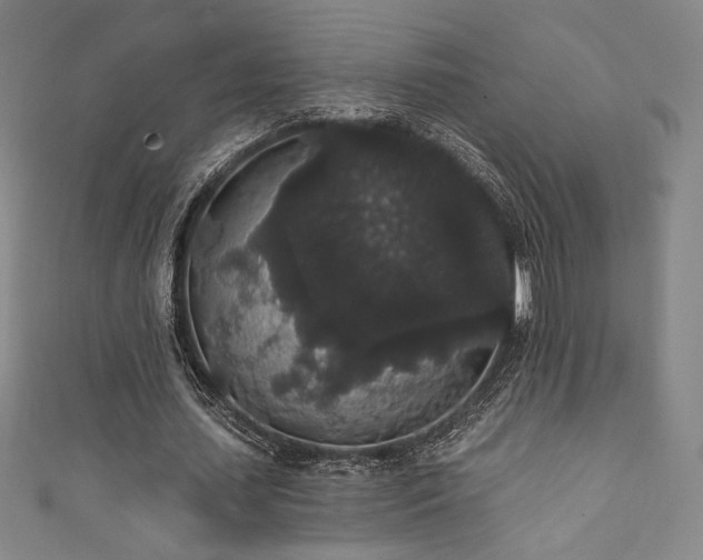 X0000111830627200907231317