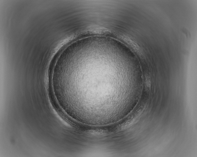 X0000111830630200907231317
