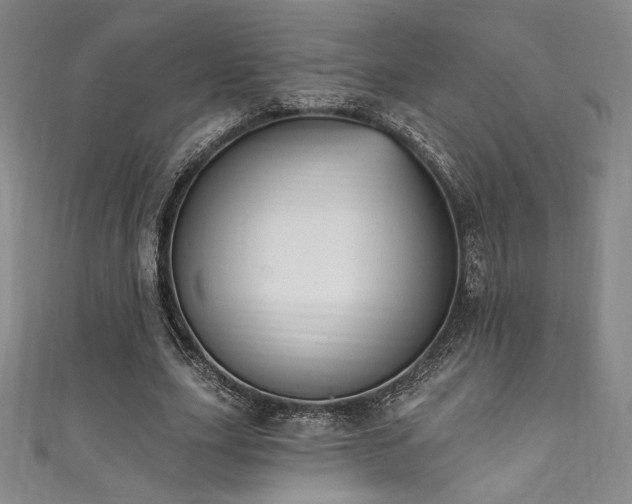 X0000111830631200907231317