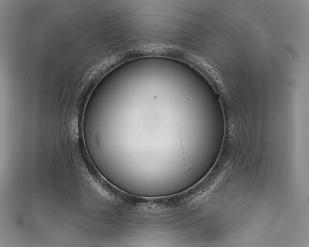 X0000111830633200907231317