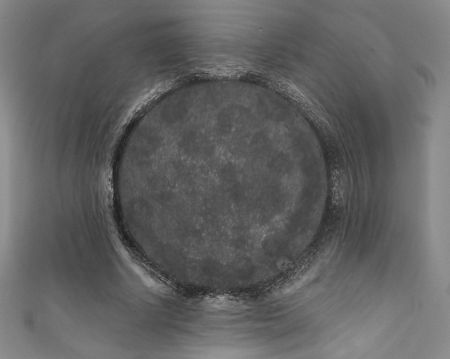 X0000111830634200907231317