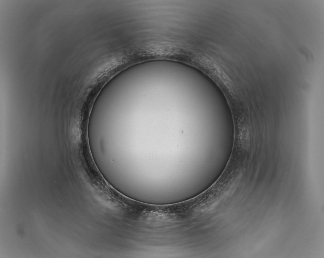 X0000111830635200907231317