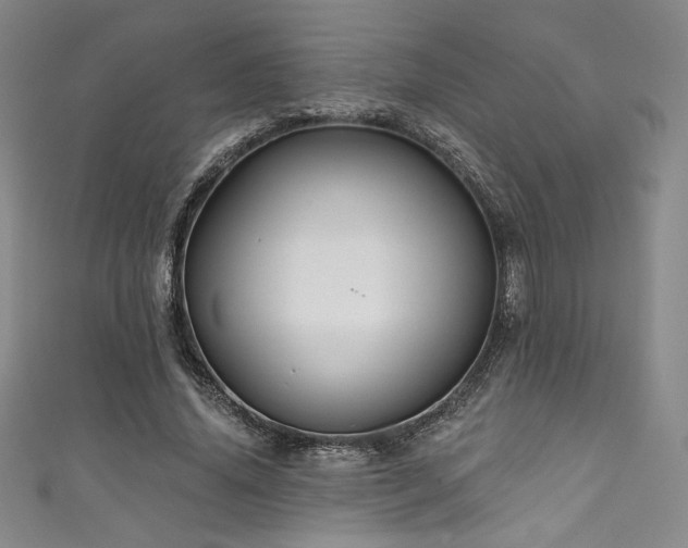 X0000111830636200907231317