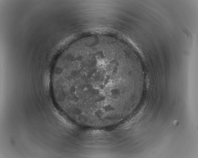X0000111830637200907231317