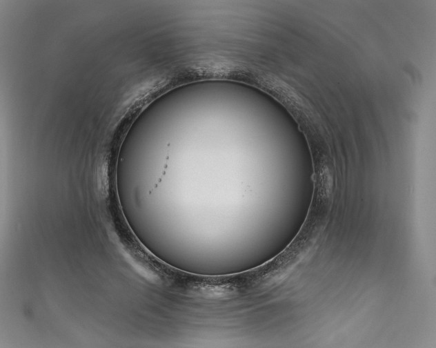 X0000111830638200907231317
