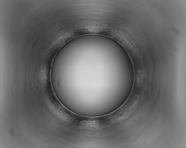 X0000111830639200907231317