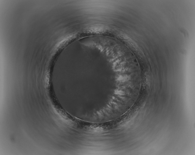 X0000111830640200907231317