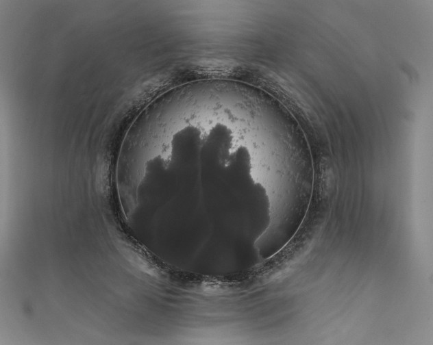 X0000111830641200907231317