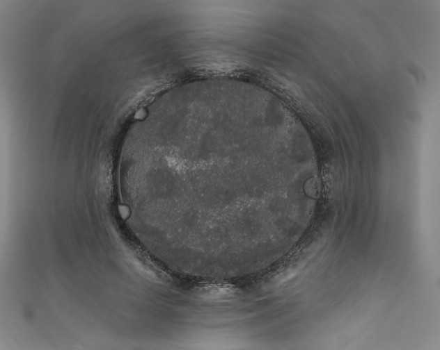 X0000111830642200907231317